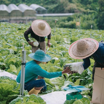 BRCGS ETHICAL TRADE AND RESPONSIBLE SOURCING CERTIFICATION